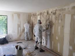 Best Mold Odor Removal Services  in Dulce, NM